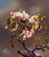 Heade, Martin Johnson - Branch of Apple Blossoms against a Cloudy Sky